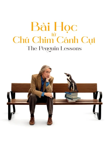 Bài Học Từ Chú Chim Cánh Cụt